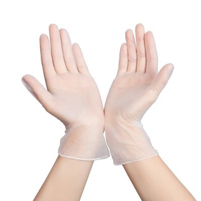 Anti gants élastiques acides de PVC de vinyle de protection de travail jetable transparente de gants