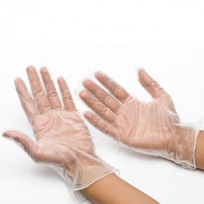 Saupoudrez les gants jetables libres de vinyle pour le service d'alimentation manipulant 1000PCs/CTN transparent