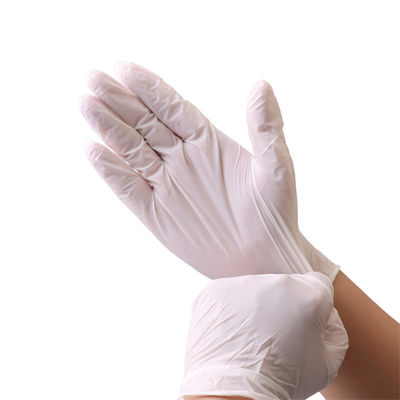 Milieu transparent de gants de latex de certification d'OIN 510K/de gants examen de latex