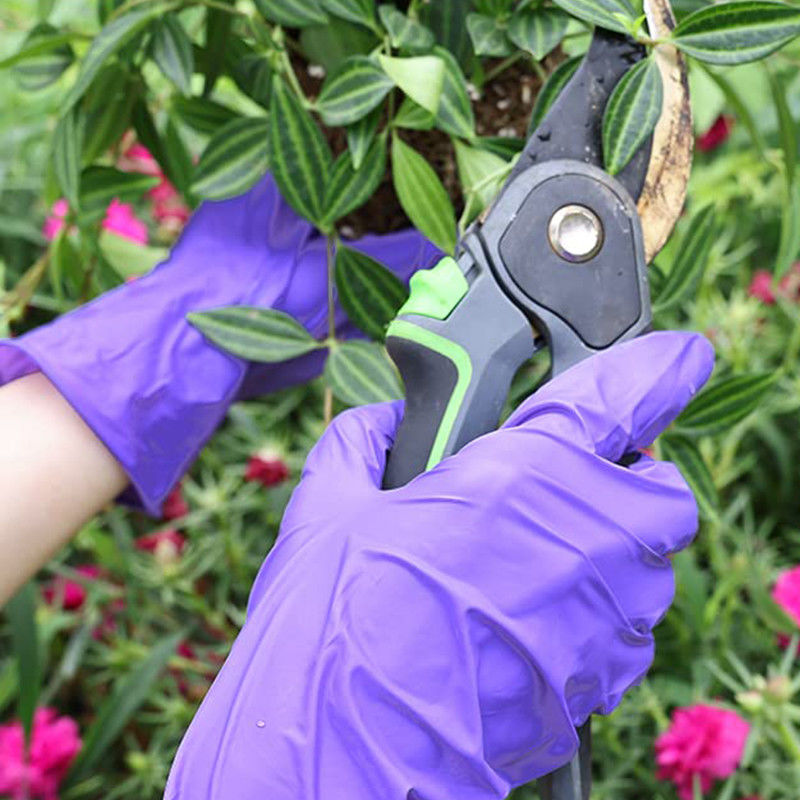 Pourpre 5 gants médicaux en nitrile de mil grands longs en caoutchouc libres de poudre imperméables