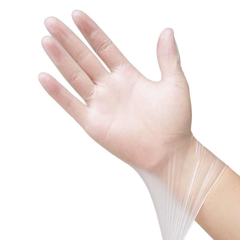 Le vinyle clair libre de gants jetables de DOP DEHP saupoudrent M libre L S XL
