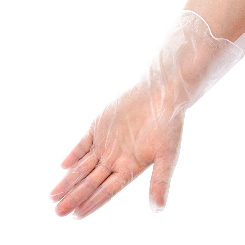 Les gants jetables libres de vinyle de l'examen DEHP saupoudrent en gros librement